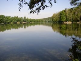 Botič 2-ú.n.Hostivař - pohled od Petrovic 2.jpg
